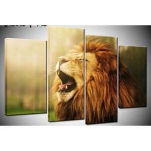 Tableau Lion Élégance décor tête de lion