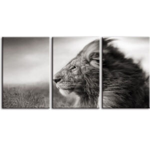 Tableau Lion Autorité décoration d'intérieur en noir et blanc