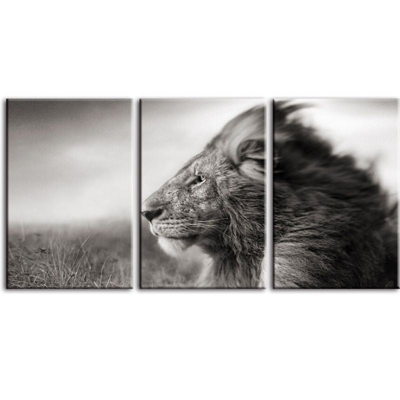 Tableau Lion Autorité décoration d'intérieur en noir et blanc