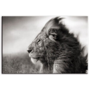 Tableau Lion Charisme décoration d'intérieur nature
