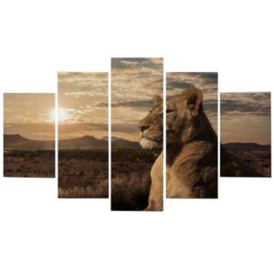 Tableau Lion Intrépide décoration d'intérieur savane