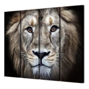 zoom Toile Lion