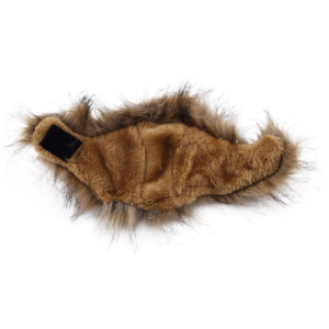 Crinière de Lion Chat intérieur