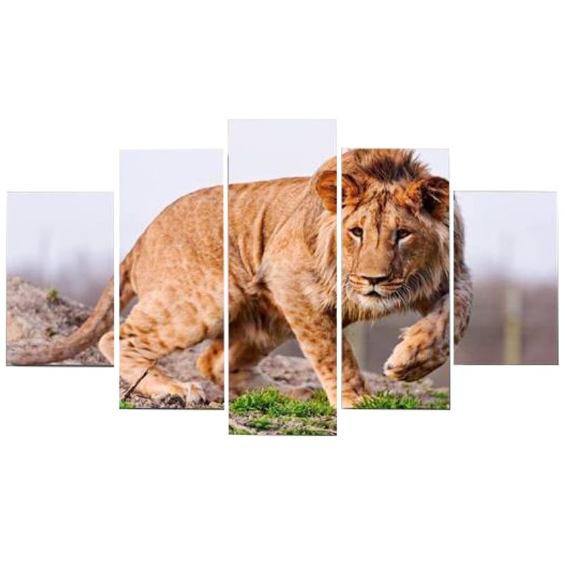 Tableau Lion Valeur