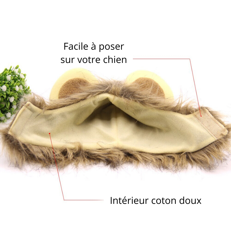 Fausse Crinière de Lion pour Chien dimensions