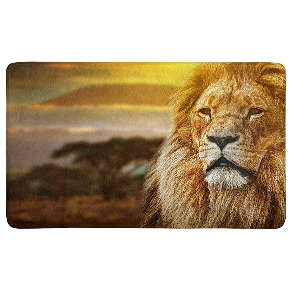 Tapis lion royaume.