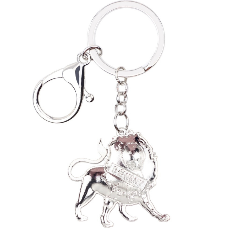 Porte Clés Lion Multicolore dos