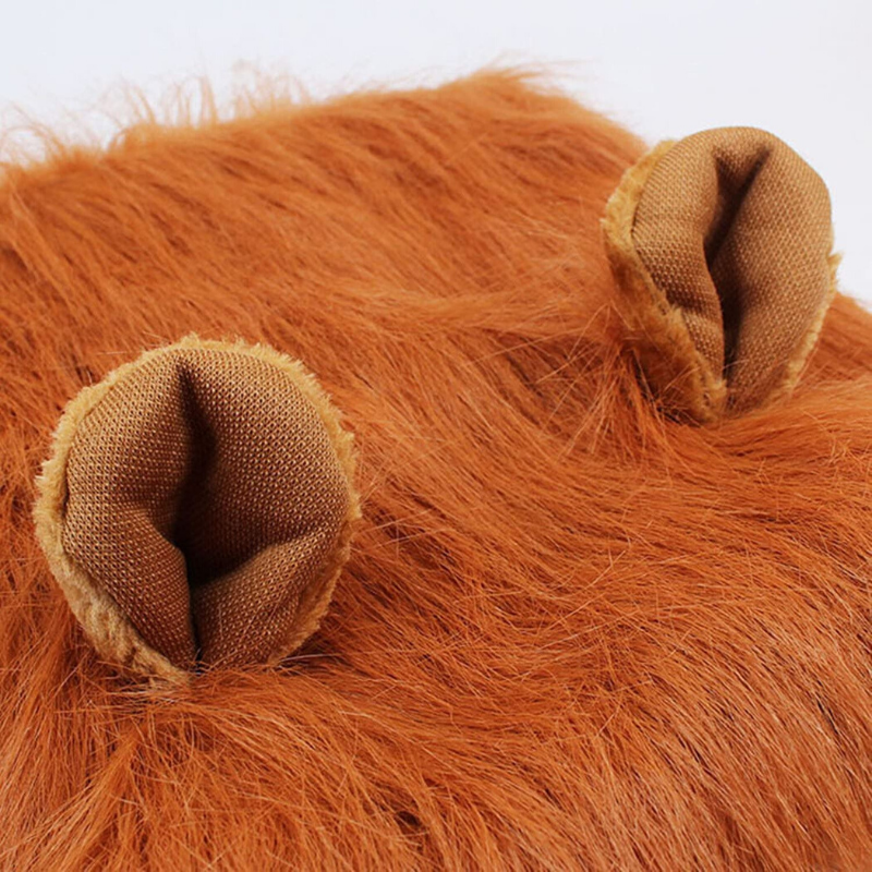 Crinière de Lion Chien oreilles