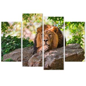 Tableau Lion État décoration naturelle
