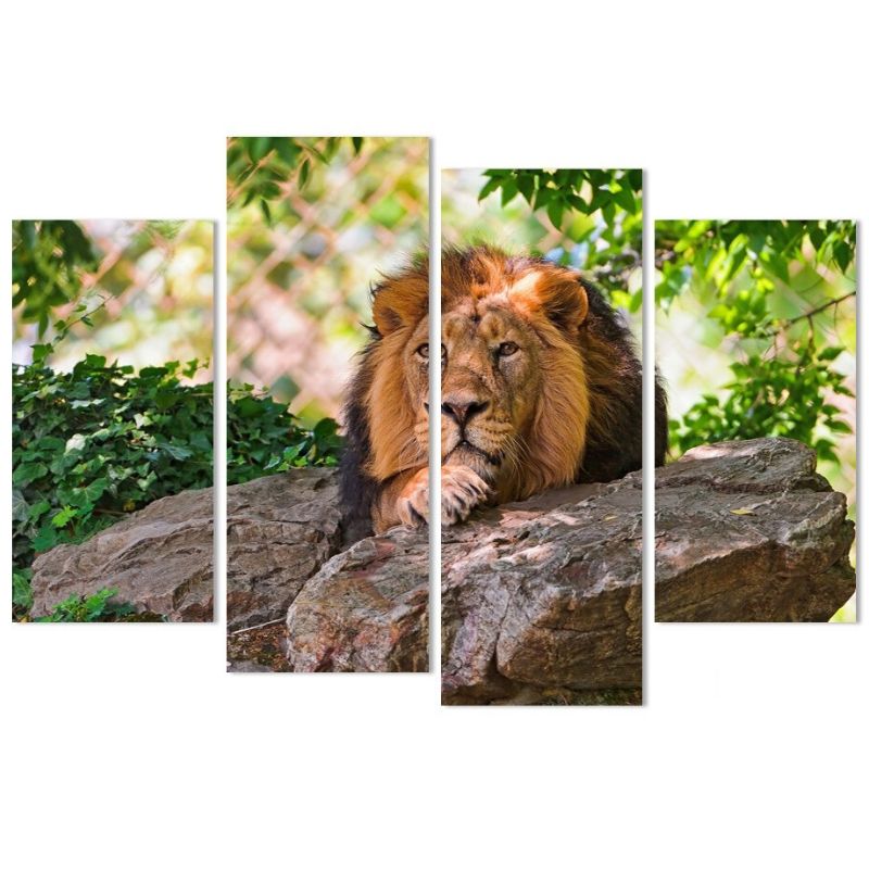 Tableau Lion État décoration naturelle
