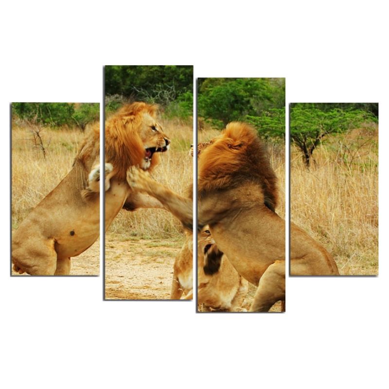 Tableau Combat Lion décoration d'intérieur lion