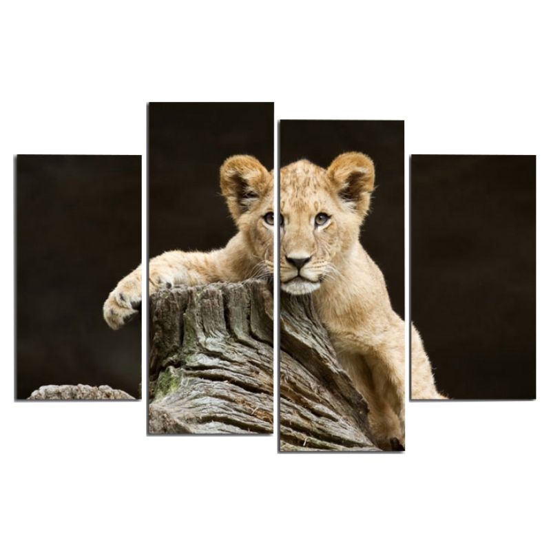 Tableau Jeune Lion Toile décoration d'intérieur