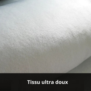 Dos tapis lion pour chambre enfant
