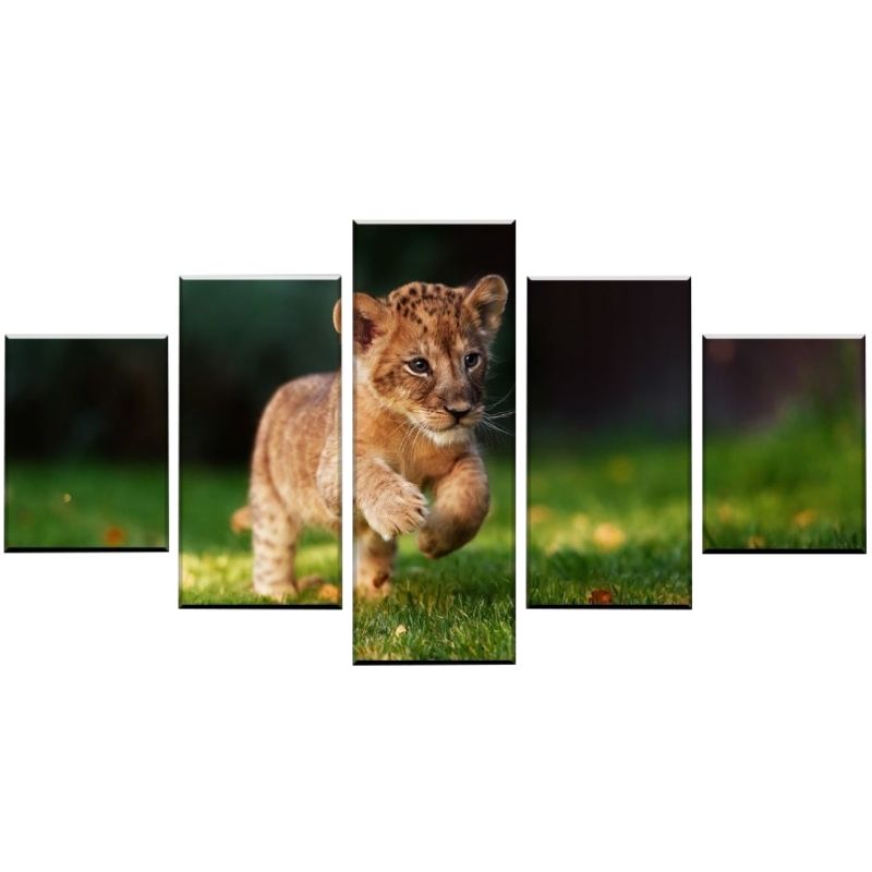 Tableau Bébé Lion décoration d'intérieur en beauté