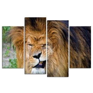 Tableau Lion Grimace déco toile lion