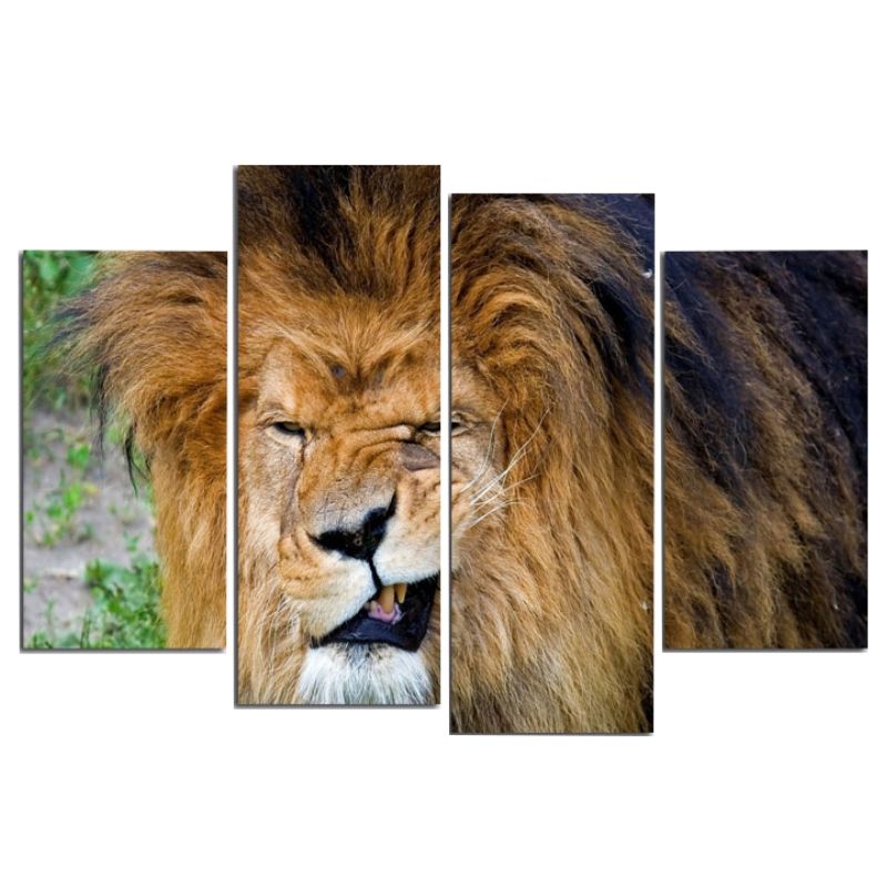 Tableau Lion Grimace déco toile lion
