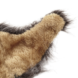 Chat Crinière de Lion Noire détails
