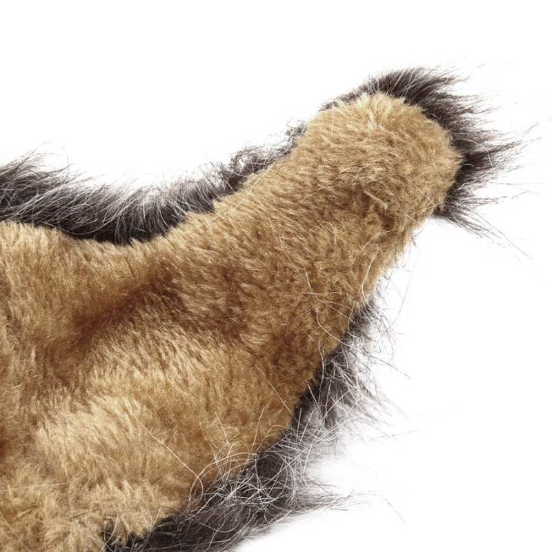 Chat Crinière de Lion Noire détails