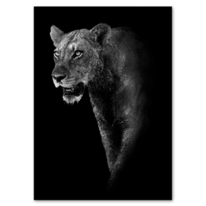 Poster Lionne Noir et Blanc Puissance