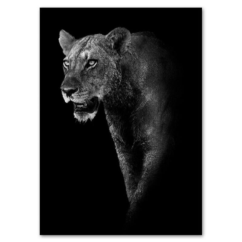 Poster lionne noir et blanc.