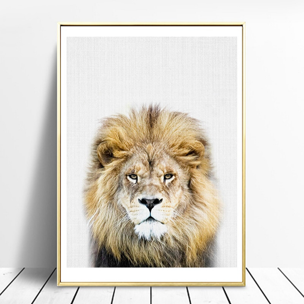 Cadre lion grande crinière.