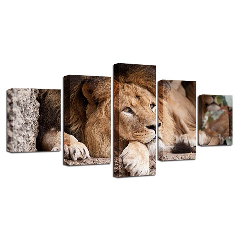 Tableau lion couleur.