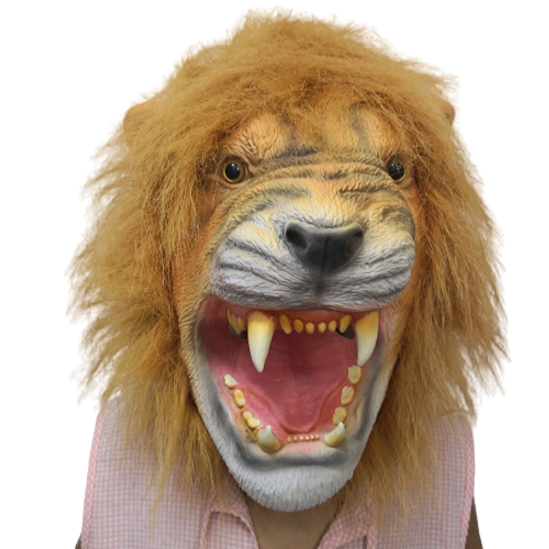 Masque lion.