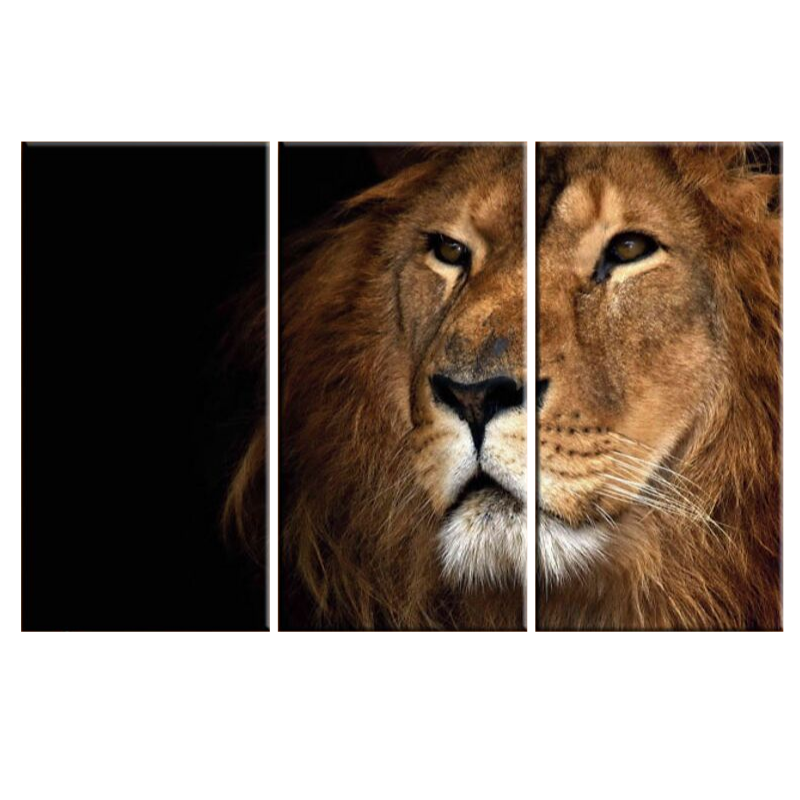 Grande toile lion en couleurs.