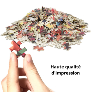 Présentation des pièces puzzle lion nuit fauve