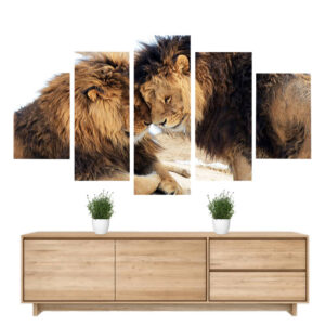 Tableau Déco Lion Frères | Lion Royaume