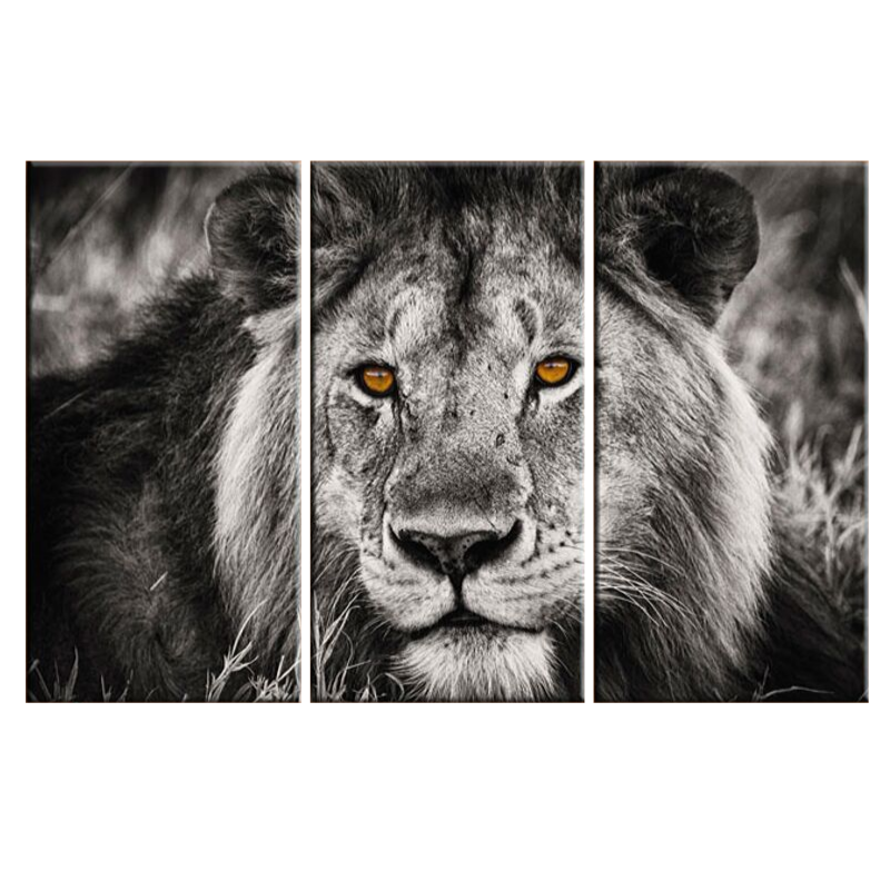 Toile déco lion noir et blanc.
