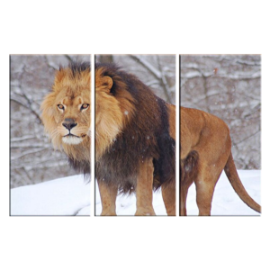 Toile avec grand lion en couleurs.