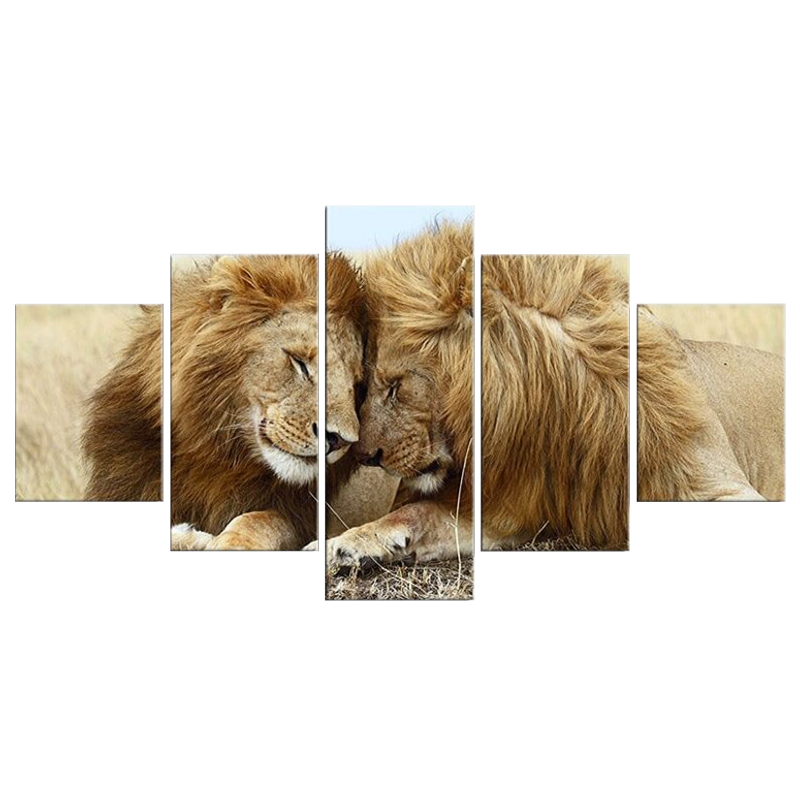 Poster avec un lion et une lionne.