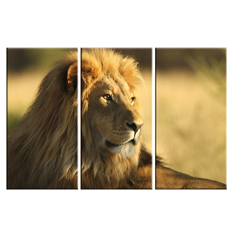 Tableau déco lion couleurs.