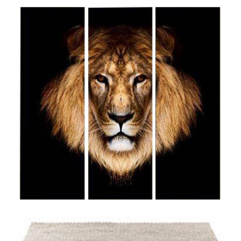 Tableau Lion Allure