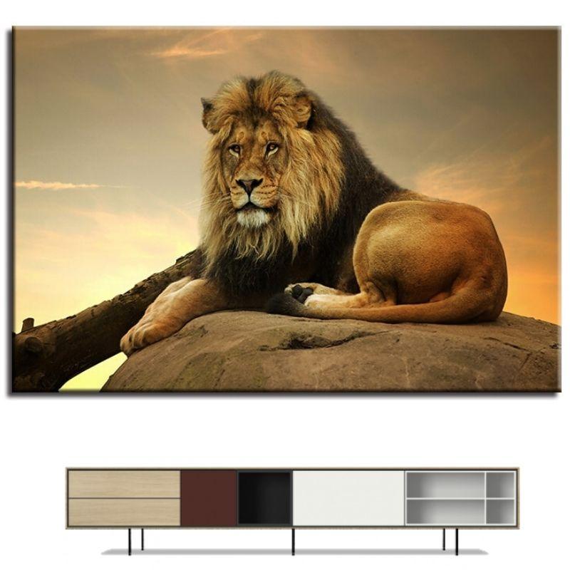 Tableau Lion Attrait