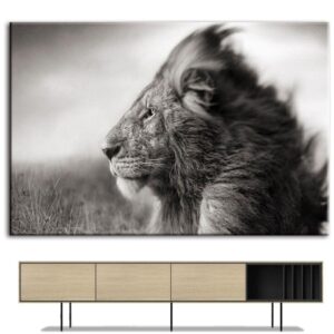 Tableau Lion Charisme