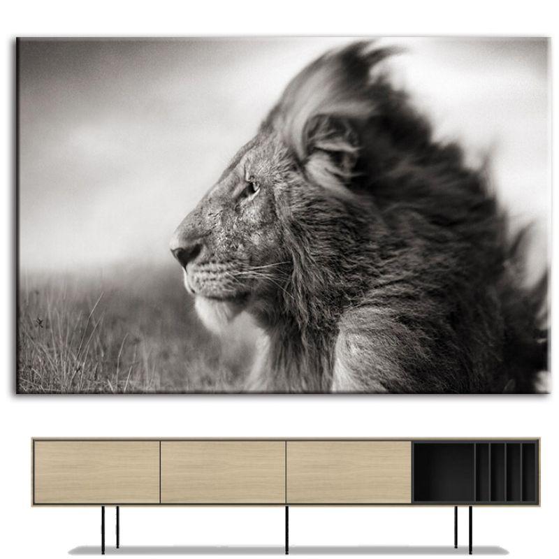 Tableau Lion Charisme