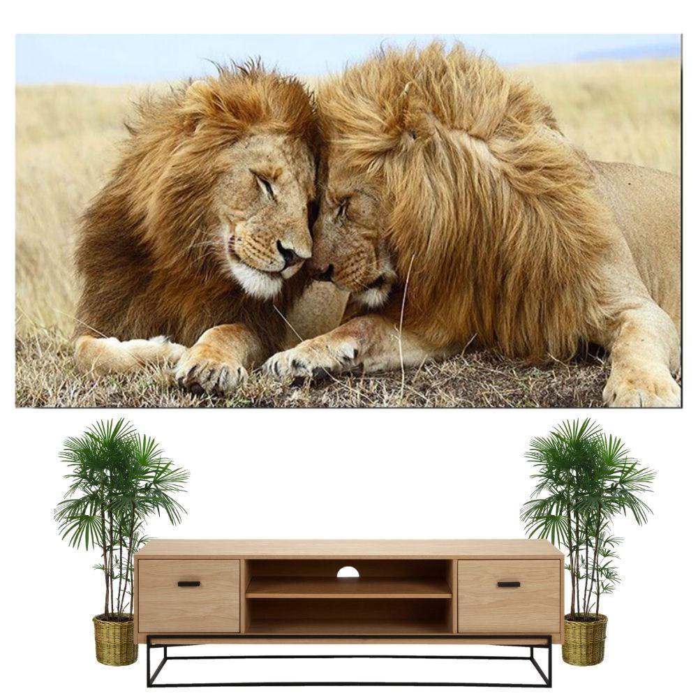 Tableau Lion Couleur Jumeaux | Lion Royaume