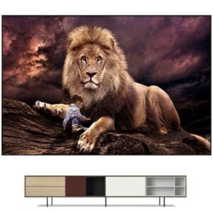 Tableau Lion Enfant