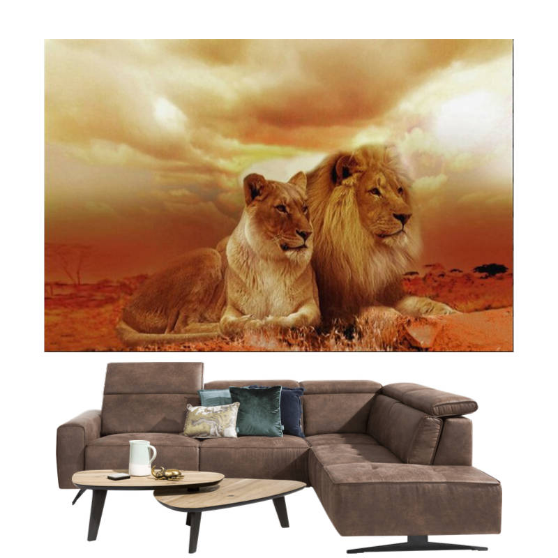 Tableau Lion et Lionne Couleurs d'Été | Lion Royaume