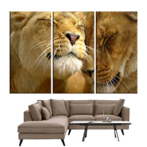 Tableau Lion et Lionne Douceur