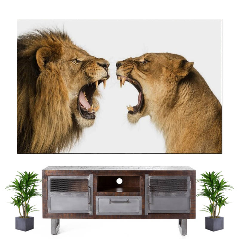 Tableau Lion et Lionne Rugissants | Lion Royaume