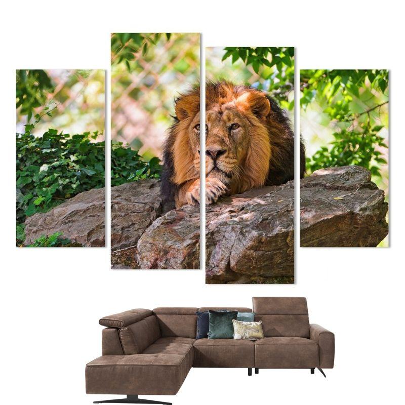 Tableau Lion État