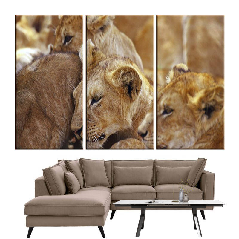 Tableau Lion Fly | Lion Royaume