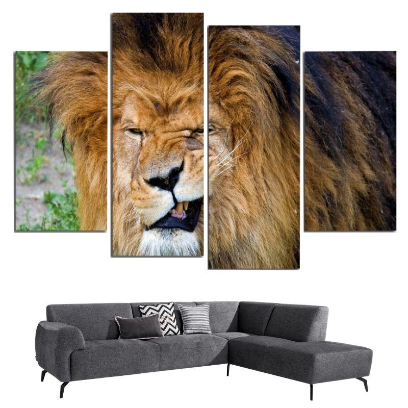 Tableau Lion Grimace