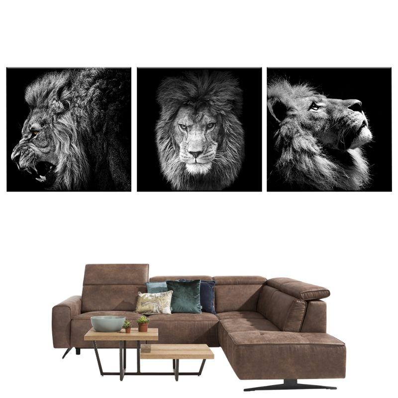 Tableau Lion Noir et Blanc 3 Pièces