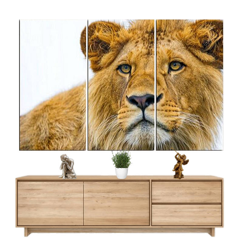 Tableau Lion Redoutable | Lion Royaume