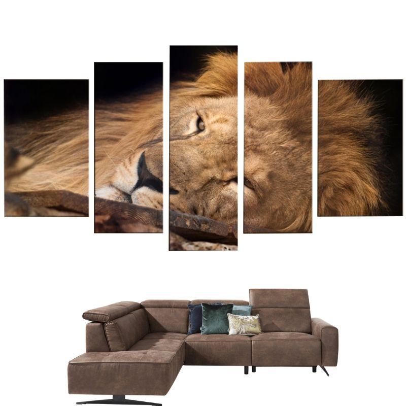 Tableau Lion Repos