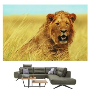 Tableau Lion Savane